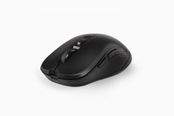 Picture of PMW6009 Wireless Mouse